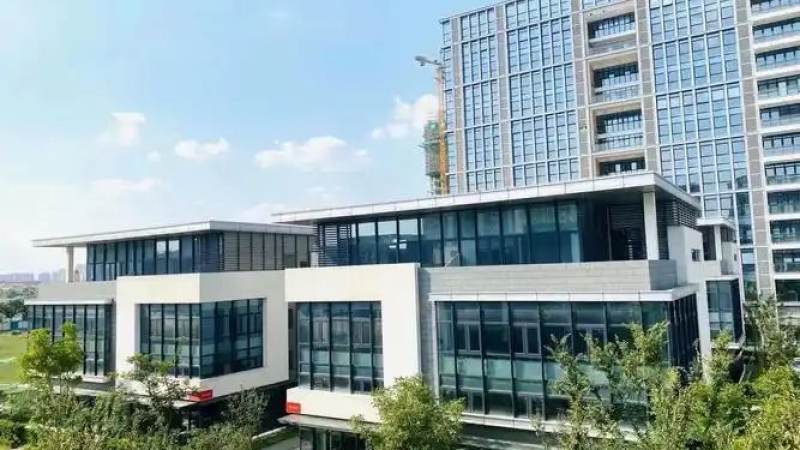 pg赏金女王游戏下载前必看：版本区别与试玩体验全解析